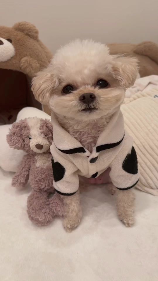 TikTok video thumbnail by mona2018.11.25