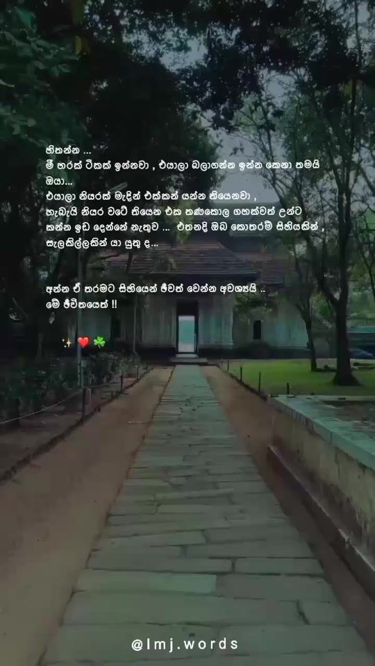 TikTok video thumbnail by lmj.words
