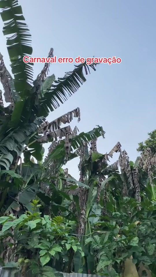 TikTok video thumbnail by bailsonpinto