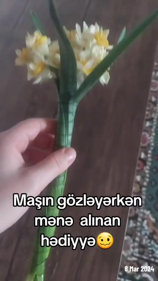 TikTok video thumbnail by makhmod_va