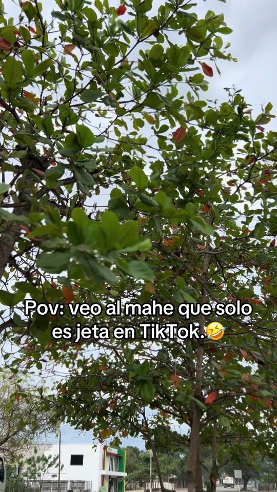 TikTok video thumbnail by leyendaracing