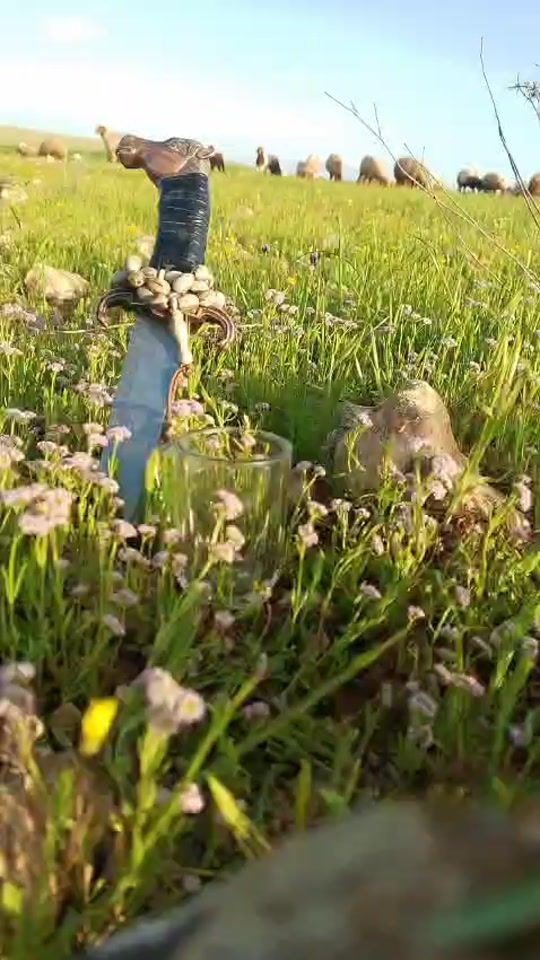 TikTok video thumbnail by b_s_a_m89