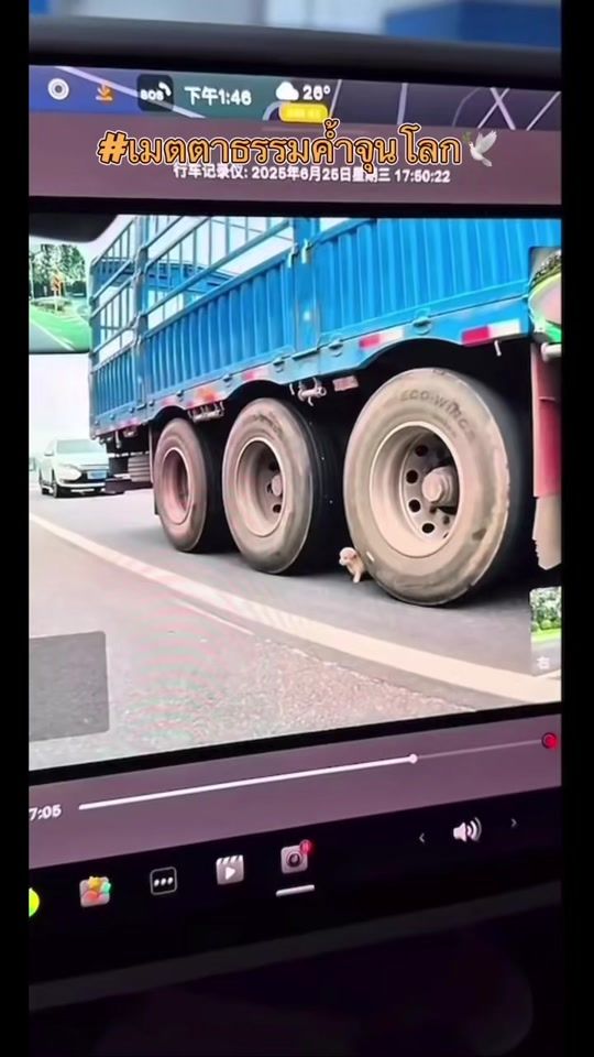 TikTok video thumbnail by bungza989