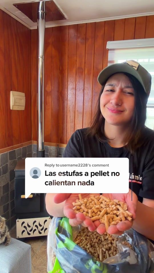 TikTok video thumbnail by llamica_calefaccion