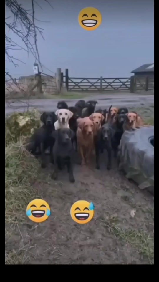 TikTok video thumbnail by makicheni0