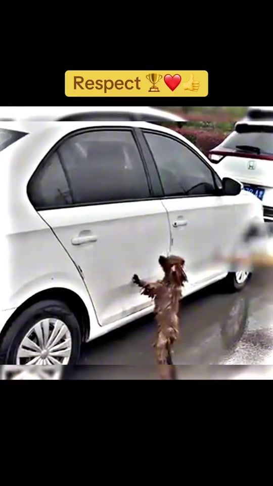 TikTok video thumbnail by _tbpic