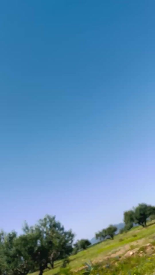 TikTok video thumbnail by rayen.ben.brahim0
