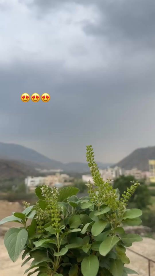 TikTok video thumbnail by meem_155