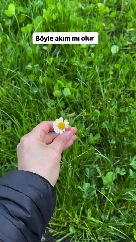 TikTok video thumbnail by bas_konus