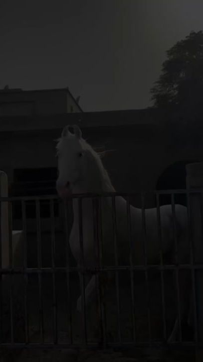 TikTok video thumbnail by khonidarinda44