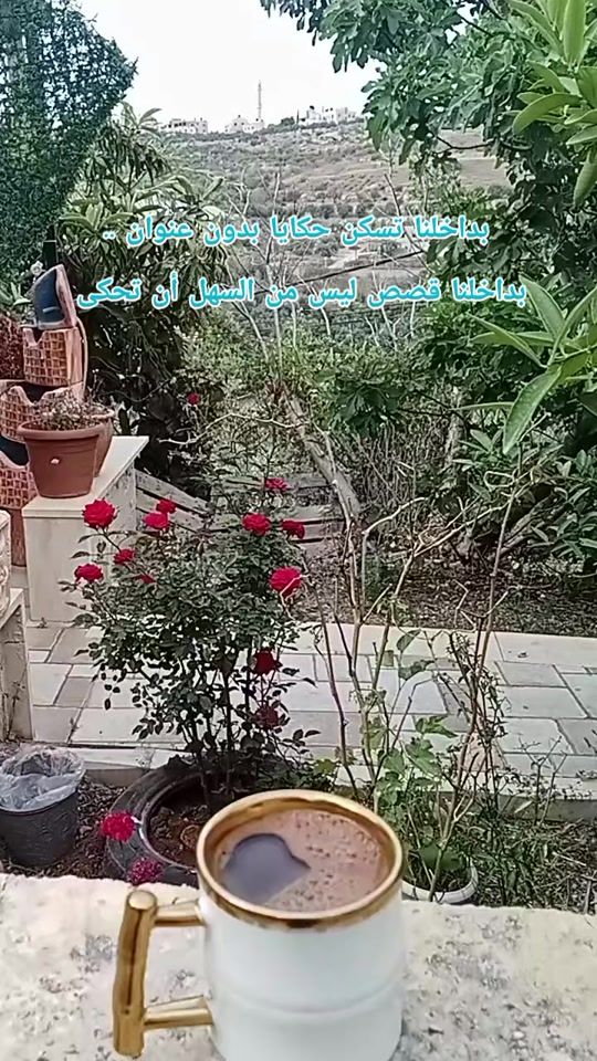 TikTok video thumbnail by abosyifhhh55