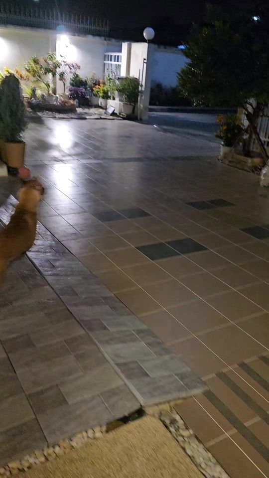 TikTok video thumbnail by dumdumshop
