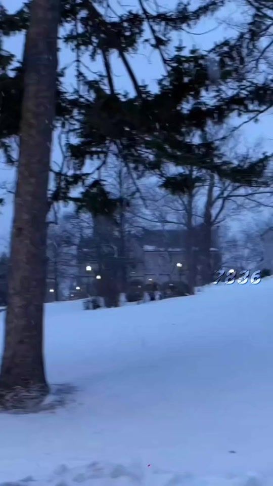 TikTok video thumbnail by 7836_7836