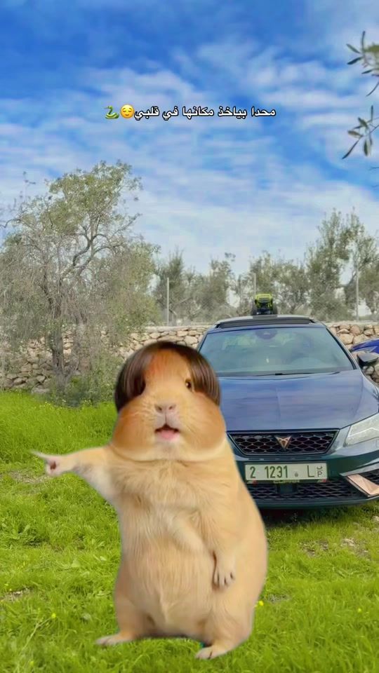 TikTok video thumbnail by weam_3bdallah22