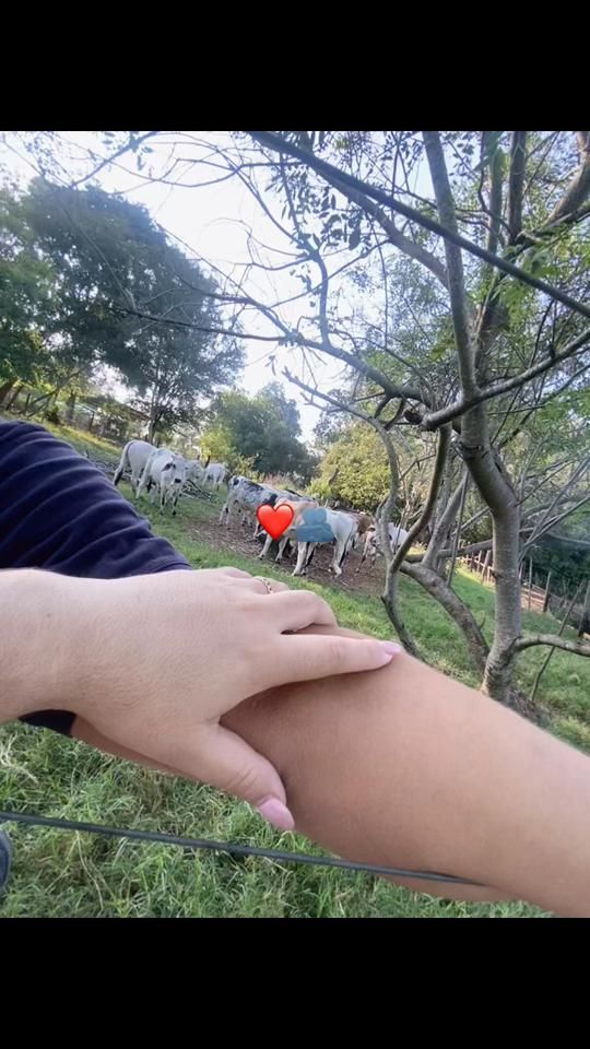 TikTok video thumbnail by aguedamb1
