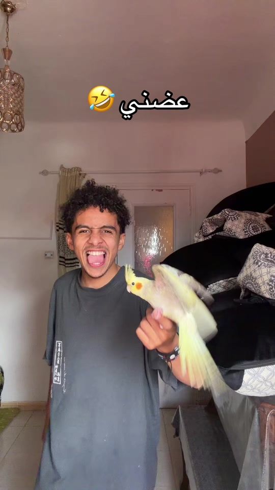TikTok video thumbnail by zaki_lrc22