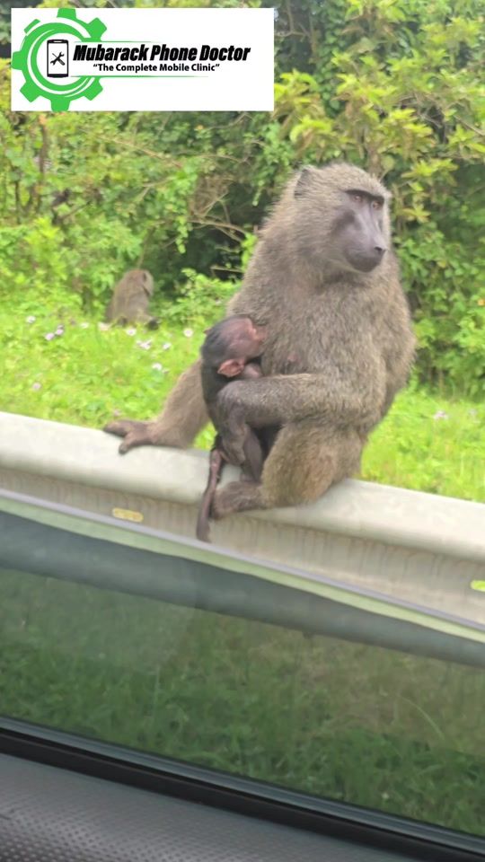 TikTok video thumbnail by phonedoctor63