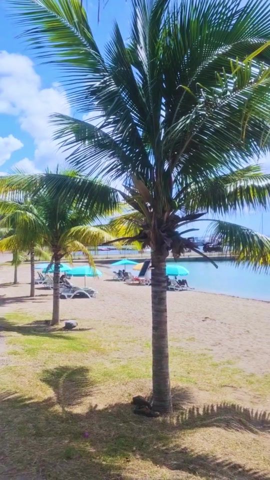 TikTok video thumbnail by timothybeachresort