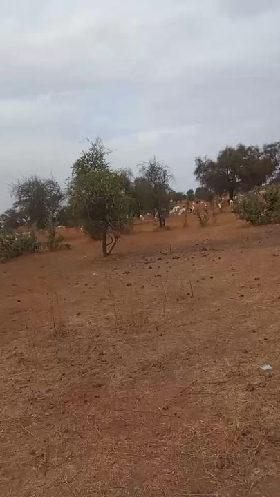 TikTok video thumbnail by boubaarou