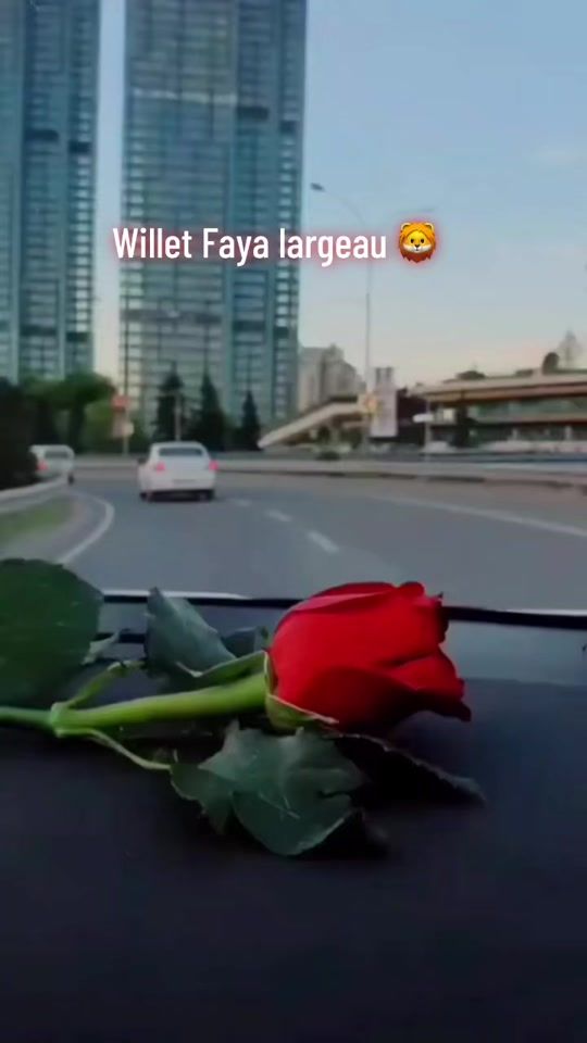 TikTok video thumbnail by saharawiyahazala