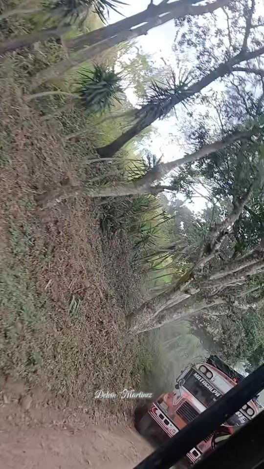TikTok video thumbnail by fansdebuses8