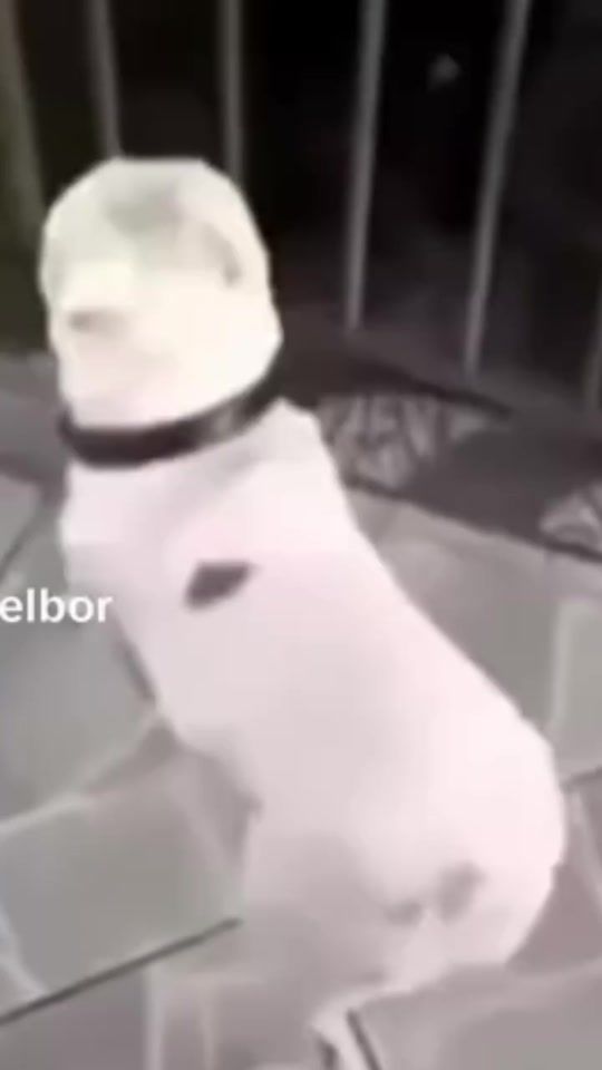 TikTok video thumbnail by prepromo._7