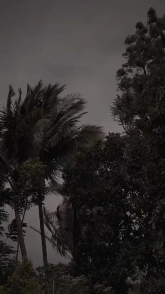 TikTok video thumbnail by wwvio22