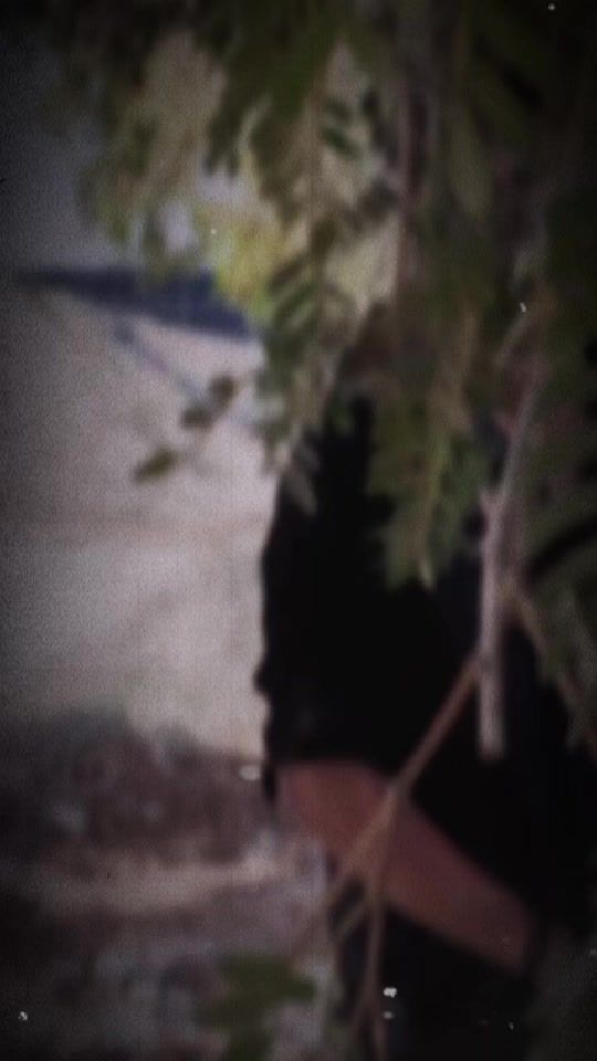 TikTok video thumbnail by md.rabbi356