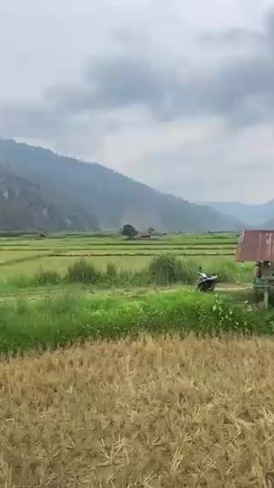 TikTok video thumbnail by nraug.hmong96