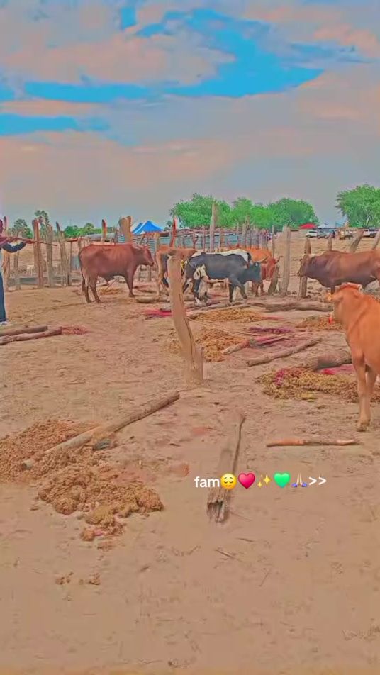 TikTok video thumbnail by talah_pandeni
