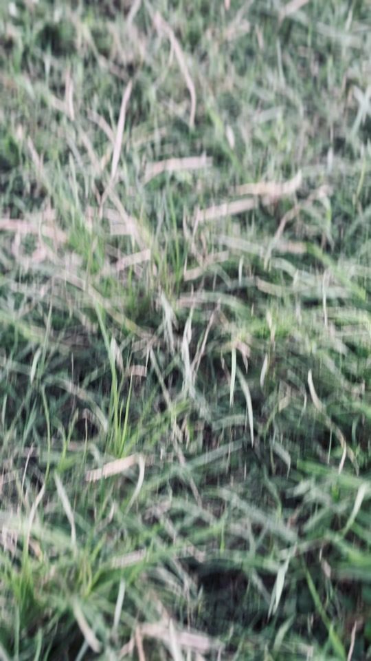 TikTok video thumbnail by aryxstyaaa