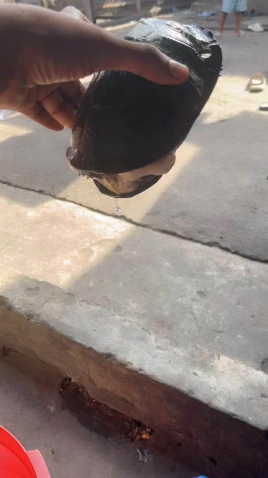 TikTok video thumbnail by ephraimkalifawemb