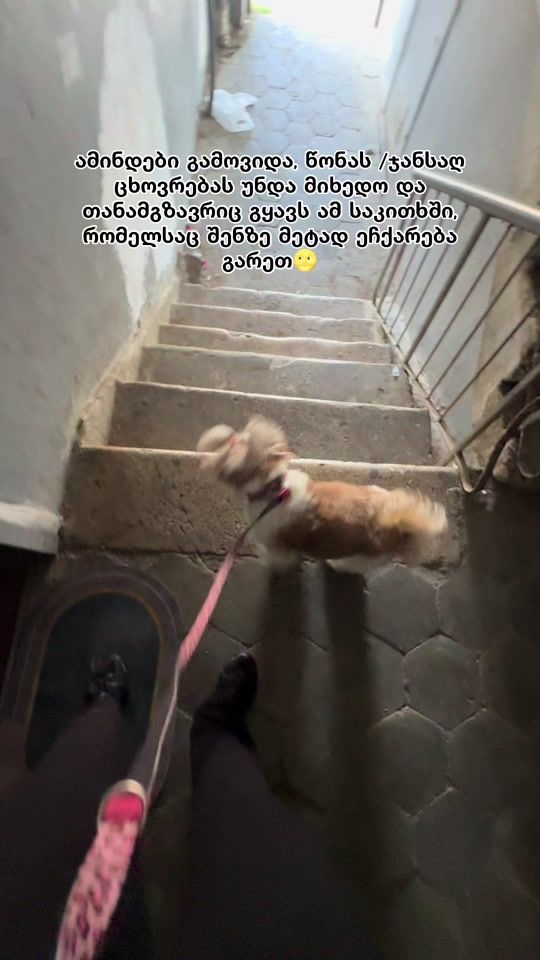 TikTok video thumbnail by mmar1amm_a