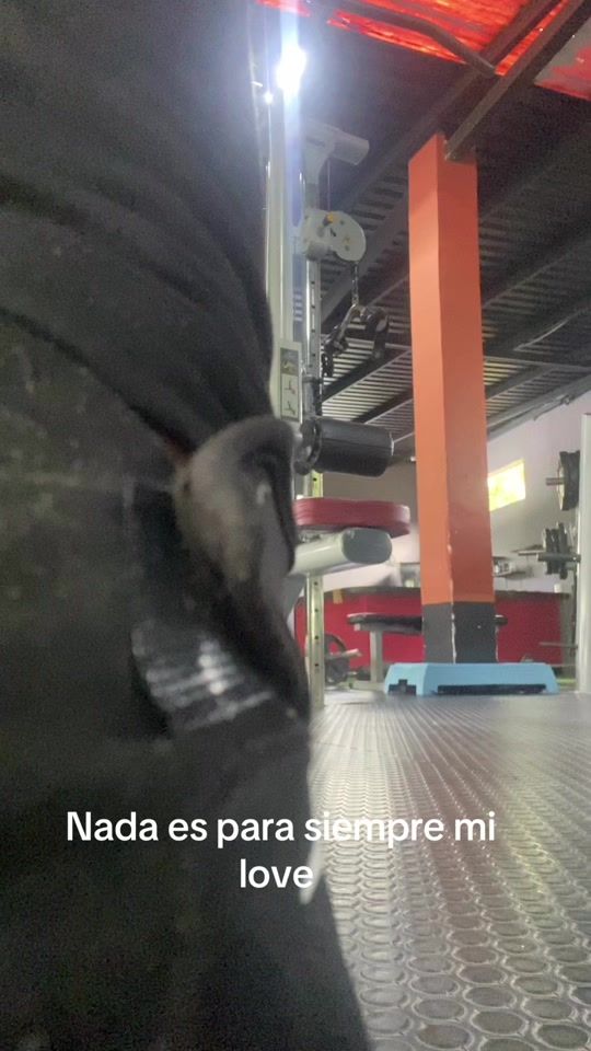 TikTok video thumbnail by keni.ramire