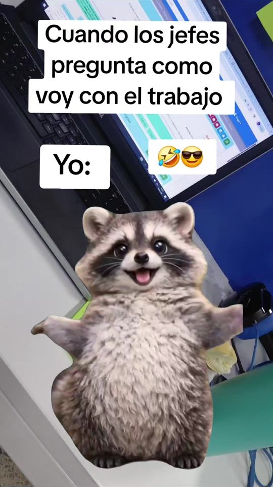 TikTok video thumbnail by momitoej