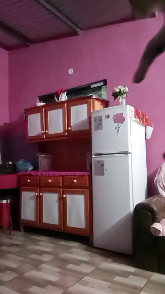 TikTok video thumbnail by miguela.escobar1