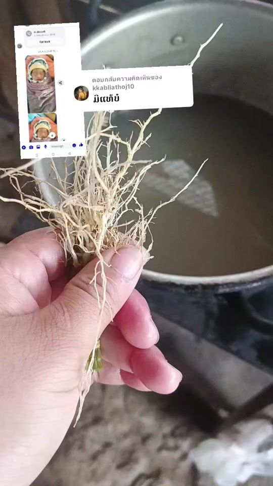 TikTok video thumbnail by maivpaj.kub