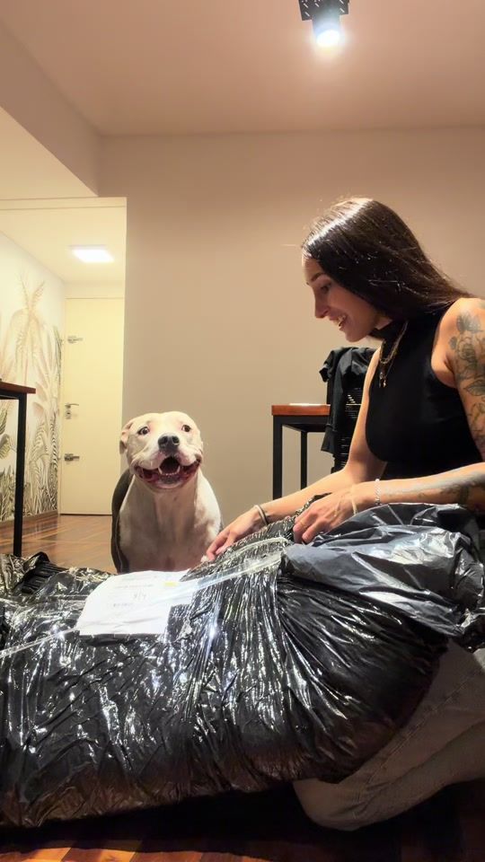 TikTok video thumbnail by thor.americanpit