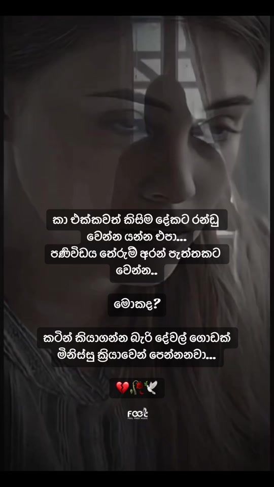 TikTok video thumbnail by feelfreemusic2