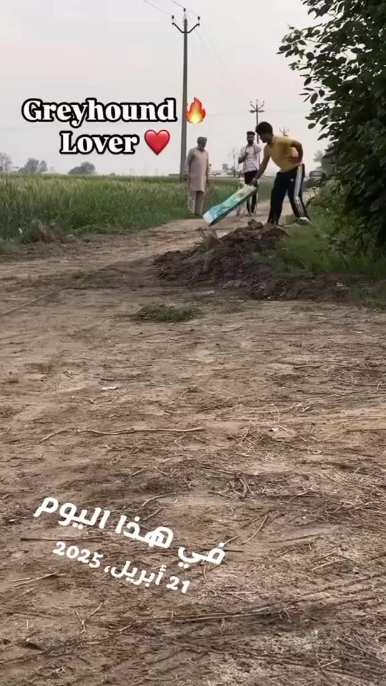TikTok video thumbnail by houssamhoussam246