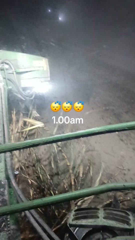 TikTok video thumbnail by cachy9923
