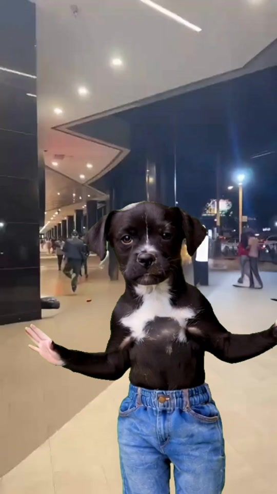 TikTok video thumbnail by hermilesp