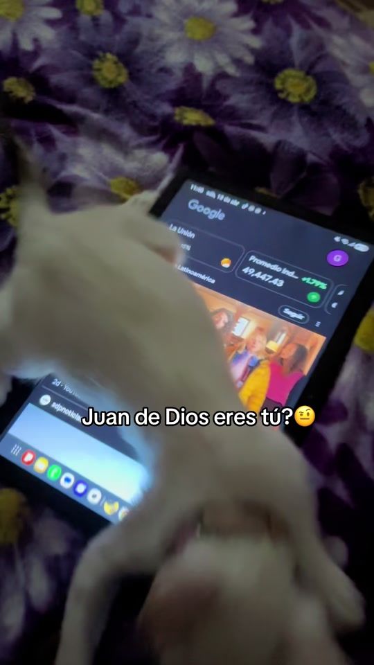TikTok video thumbnail by gabriel.os_
