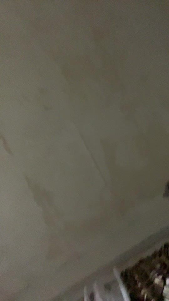 TikTok video thumbnail by neminewehhh_memory