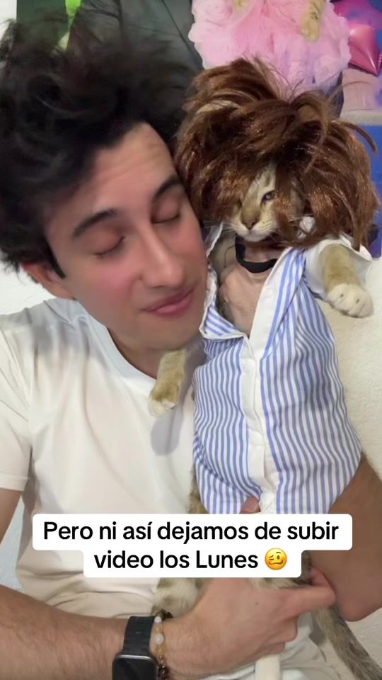 TikTok video thumbnail by pepeylila