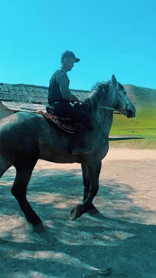 TikTok video thumbnail by ibragim_591