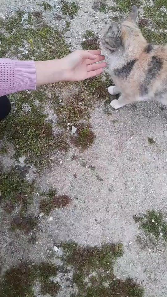 TikTok video thumbnail by yagmur___2014
