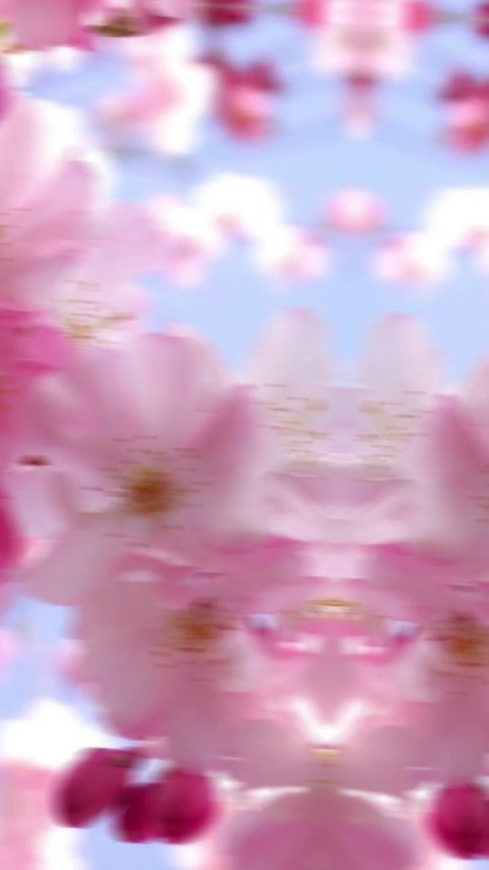 TikTok video thumbnail by user9252723923066