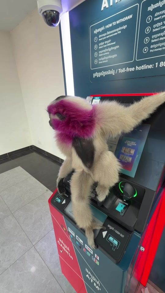 TikTok video thumbnail by maniron