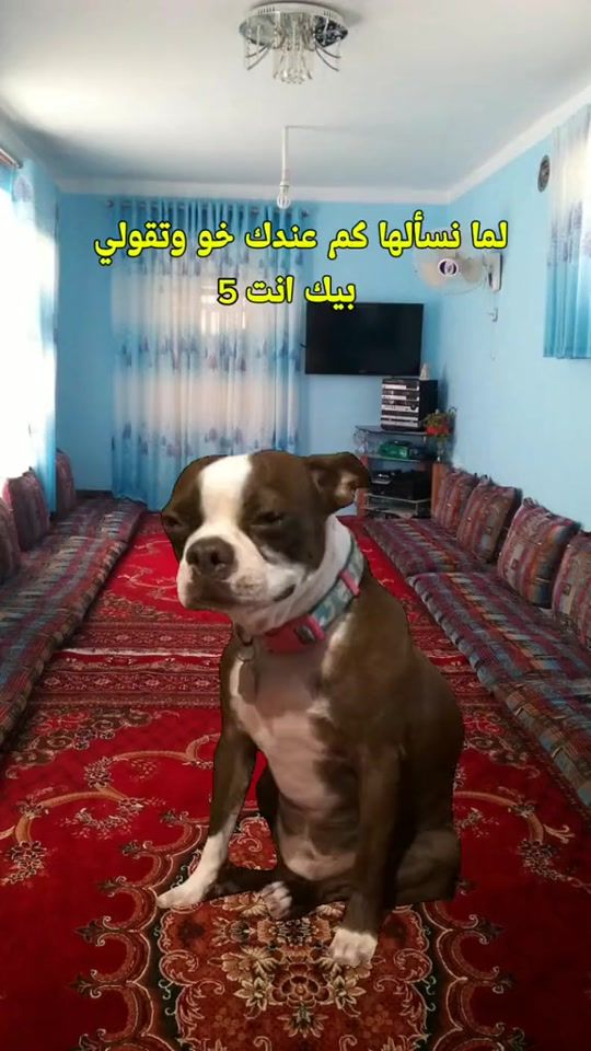TikTok video thumbnail by vx.07i